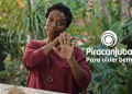 Piracanjuba