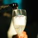 Freixenet patrocina a sexta edição do Baile do BB no Rosewood São Paulo