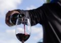 Uruguay Wine Tour