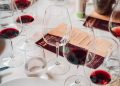 Uruguay Wine Tour