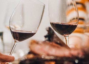 Uruguay Wine Tour