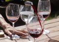 Uruguay Wine Tour
