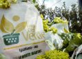 Programa Cesta Verde ultrapassa a marca de 400 mil cestas de alimentos distribuídas em Minas Gerais
