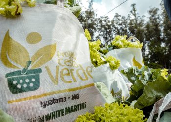Programa Cesta Verde ultrapassa a marca de 400 mil cestas de alimentos distribuídas em Minas Gerais