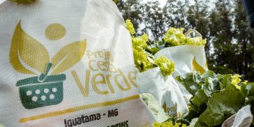 Programa Cesta Verde ultrapassa a marca de 400 mil cestas de alimentos distribuídas em Minas Gerais