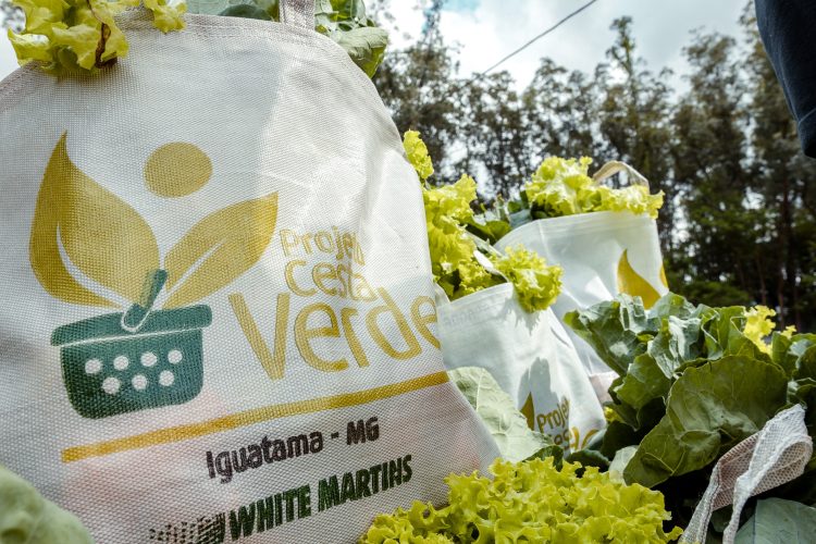 Programa Cesta Verde ultrapassa a marca de 400 mil cestas de alimentos distribuídas em Minas Gerais