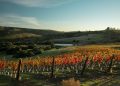Uruguay Wine amplia presença no Brasil com participação histórica na ProWine São Paulo