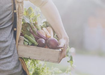 Frutas e verduras que começam a aparecer com a chegada da primavera