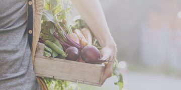 Frutas e verduras que começam a aparecer com a chegada da primavera
