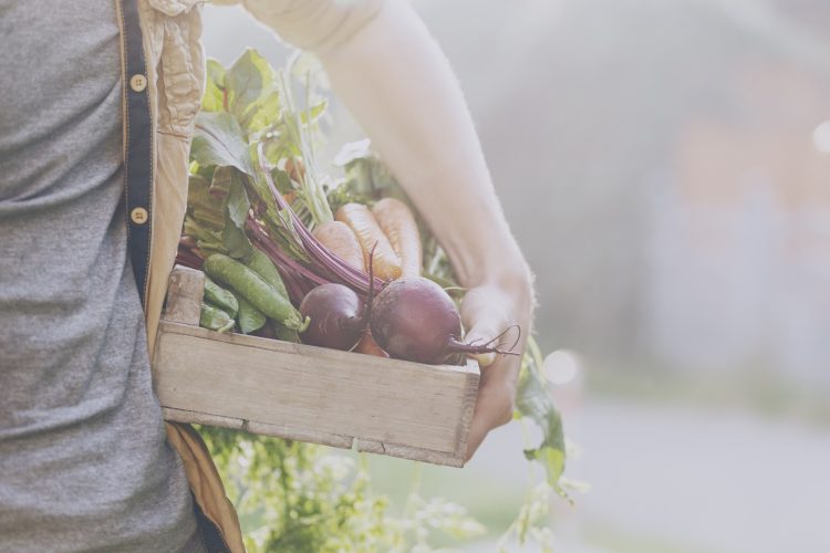Frutas e verduras que começam a aparecer com a chegada da primavera