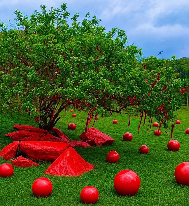Divulgação - Fazenda Velha de Santa Rita