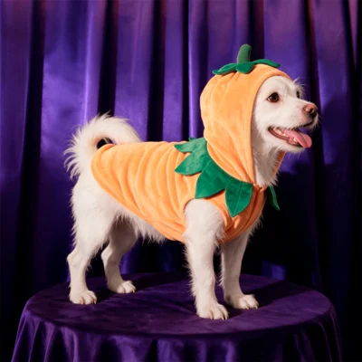 Gostosuras ou travessuras…para pets: Petlove lança campanha e coleção de Halloween “de arrepiar” da marca exclusiva Meau
